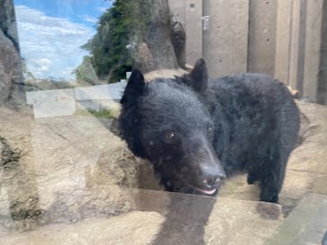 沖縄こどもの国に投稿された画像（2021/11/21）