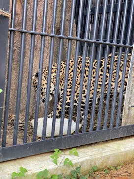 沖縄こどもの国に投稿された画像（2021/11/21）