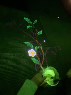 森ビル デジタルアート ミュージアム：エプソン チームラボボーダレスに投稿された画像（2021/11/21）