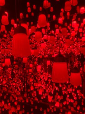 森ビル デジタルアート ミュージアム：エプソン チームラボボーダレスに投稿された画像（2021/11/21）