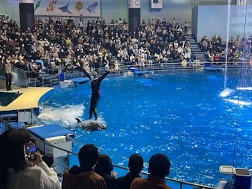 マクセル アクアパーク品川に投稿された画像（2021/11/21）