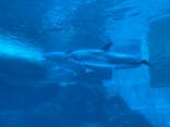 名古屋港水族館に投稿された画像（2021/11/21）