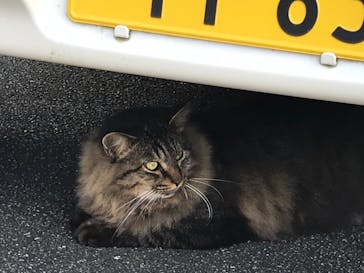 海女小屋体験施設さとうみ庵に投稿された画像（2021/11/21）