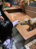Moff animal world MARK IS みなとみらい店に投稿された画像（2021/11/21）