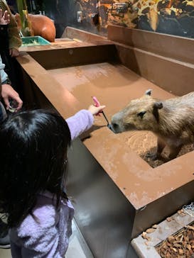 Moff animal world MARK IS みなとみらい店に投稿された画像（2021/11/21）