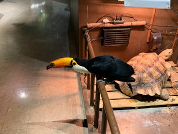 Moff animal world MARK IS みなとみらい店に投稿された画像（2021/11/21）