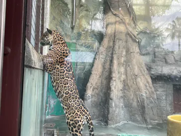 天王寺動物園に投稿された画像（2021/11/21）