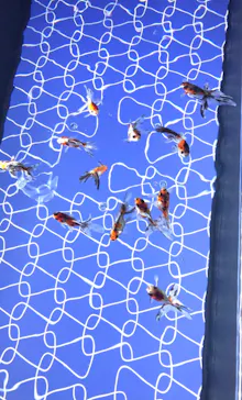 すみだ水族館に投稿された画像（2021/11/21）