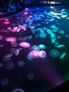 すみだ水族館に投稿された画像（2021/11/21）