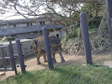 沖縄こどもの国に投稿された画像（2021/11/21）