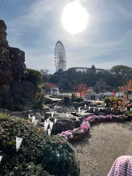 ひらかたパークに投稿された画像（2021/11/21）