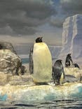 名古屋港水族館に投稿された画像（2021/11/21）