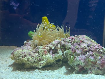 名古屋港水族館に投稿された画像（2021/11/21）