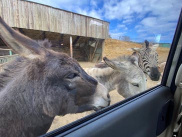 東北サファリパークに投稿された画像（2021/11/21）