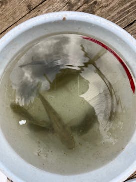 美らヤシパークオキナワ・東南植物楽園に投稿された画像（2021/11/21）