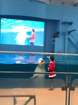 横浜・八景島シーパラダイスに投稿された画像（2021/11/21）