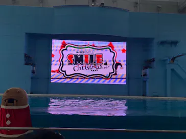 横浜・八景島シーパラダイスに投稿された画像（2021/11/21）