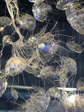 横浜・八景島シーパラダイスに投稿された画像（2021/11/21）