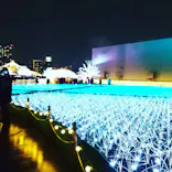 東京メガイルミに投稿された画像（2021/11/21）