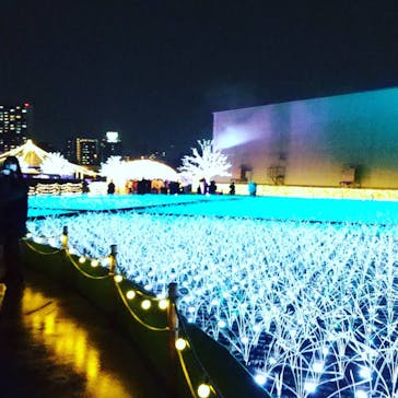 東京メガイルミに投稿された画像（2021/11/21）