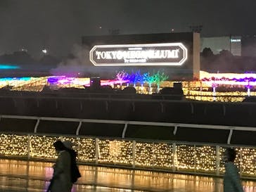 東京メガイルミに投稿された画像（2021/11/21）