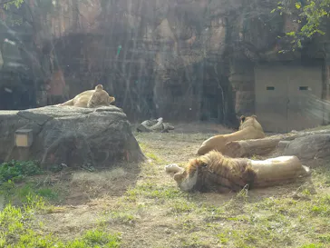 天王寺動物園に投稿された画像（2021/11/21）