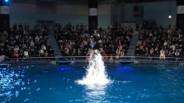 マクセル アクアパーク品川に投稿された画像（2021/11/21）