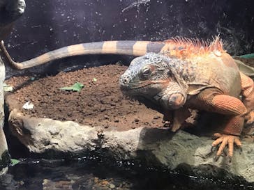 マクセル アクアパーク品川に投稿された画像（2021/11/21）