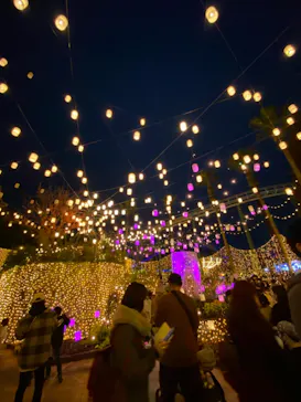 ひらかたパークに投稿された画像（2021/11/21）