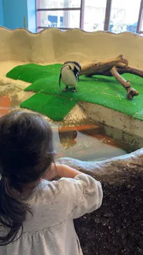 ひらかたパークに投稿された画像（2021/11/21）