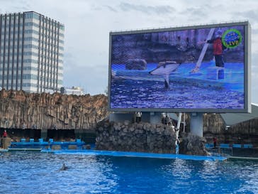 名古屋港水族館に投稿された画像（2021/11/21）