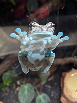 カワスイ 川崎⽔族館に投稿された画像（2021/11/21）