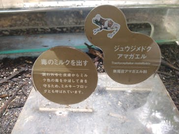 カワスイ 川崎⽔族館に投稿された画像（2021/11/21）