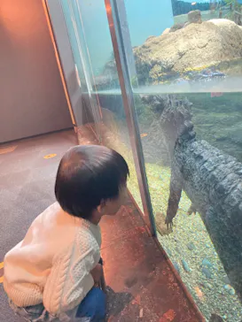 天王寺動物園に投稿された画像（2021/11/21）