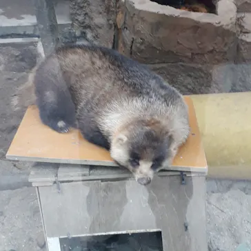 天王寺動物園に投稿された画像（2021/11/21）