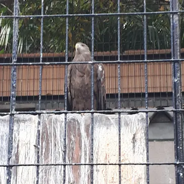 天王寺動物園に投稿された画像（2021/11/21）