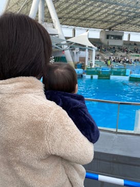 名古屋港水族館に投稿された画像（2021/11/21）