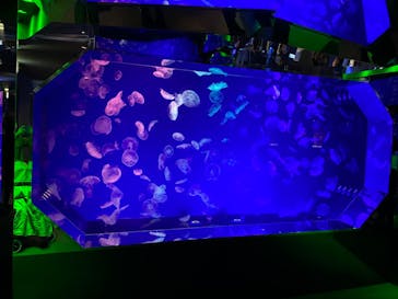 名古屋港水族館に投稿された画像（2021/11/21）