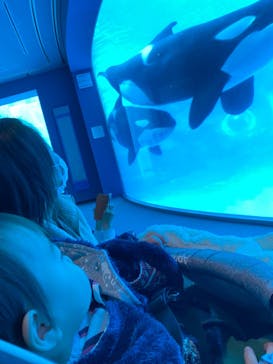 名古屋港水族館に投稿された画像（2021/11/21）