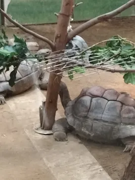 天王寺動物園に投稿された画像（2021/11/21）
