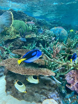 名古屋港水族館に投稿された画像（2021/11/21）