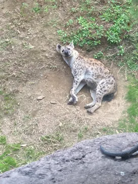 天王寺動物園に投稿された画像（2021/11/21）