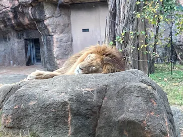 天王寺動物園に投稿された画像（2021/11/21）