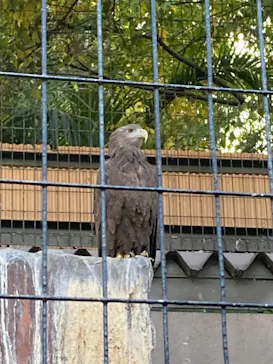天王寺動物園に投稿された画像（2021/11/21）