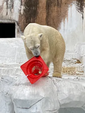 天王寺動物園に投稿された画像（2021/11/21）