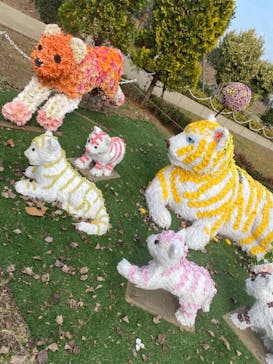 東武動物公園に投稿された画像（2021/11/21）