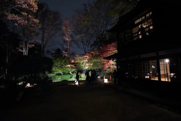 江戸東京たてもの園に投稿された画像（2021/11/21）