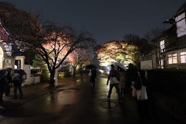 江戸東京たてもの園に投稿された画像（2021/11/21）