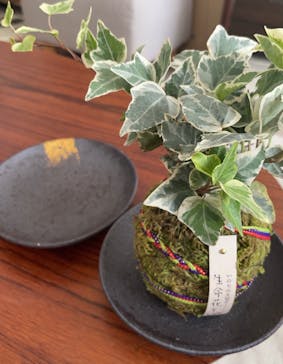 株式会社花工房に投稿された画像（2021/11/21）