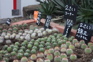 伊豆シャボテン動物公園に投稿された画像（2021/11/21）